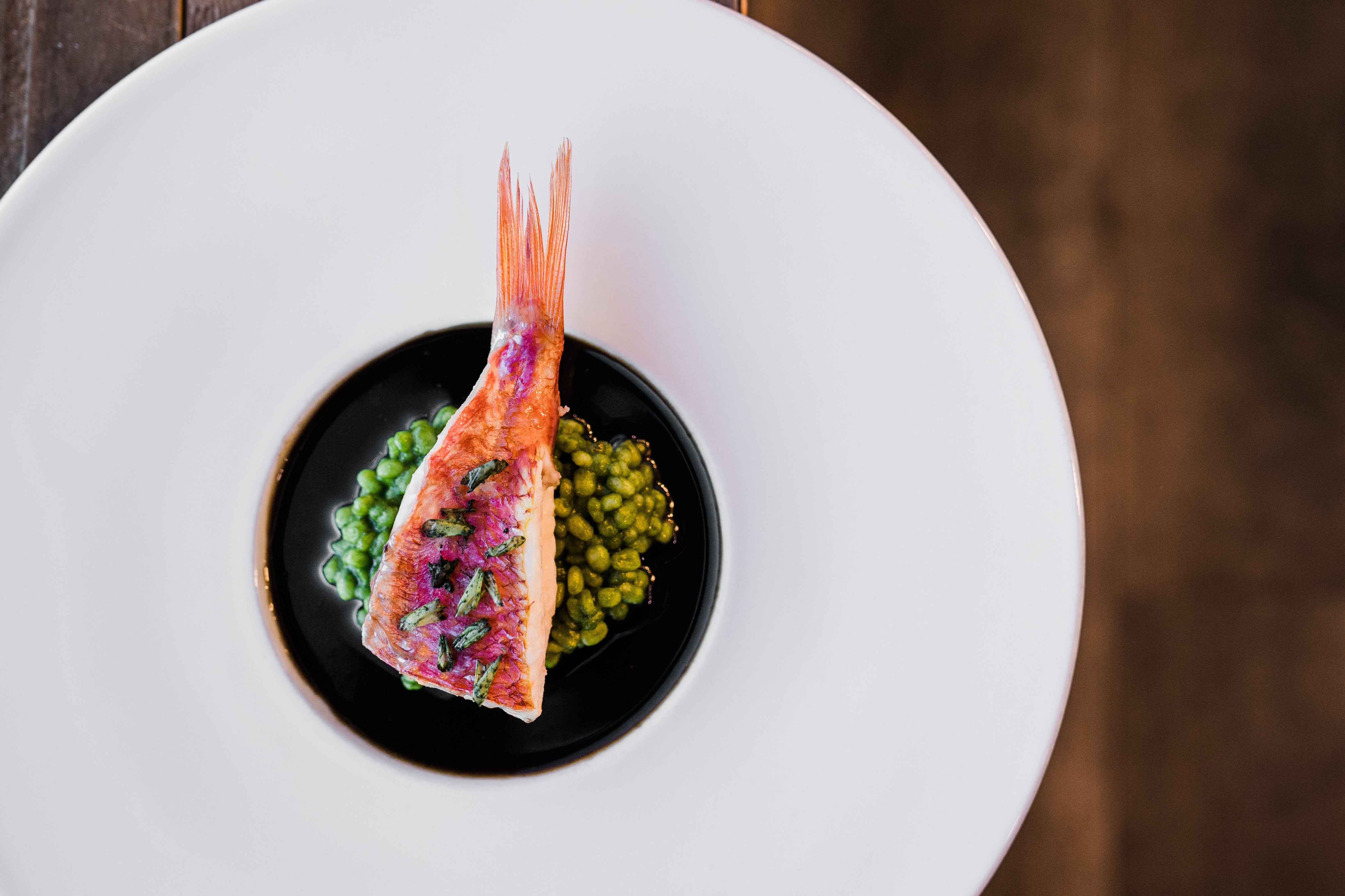 Plated fish dish at Restaurant Latour