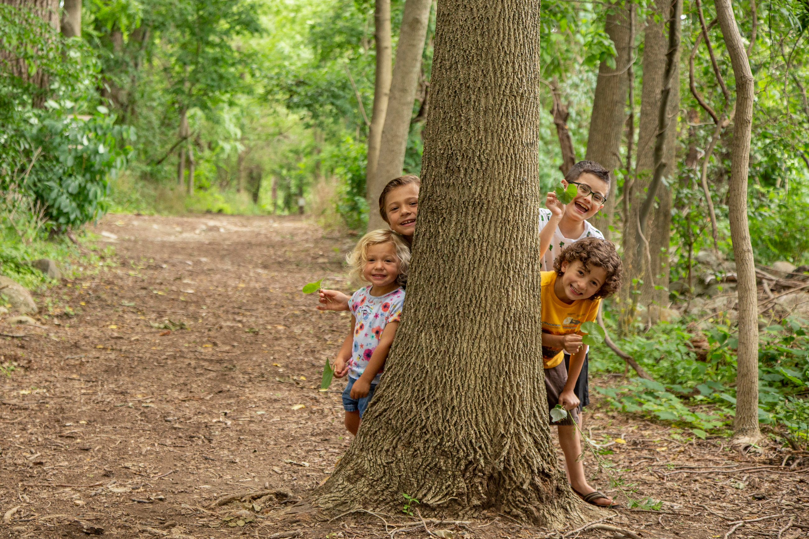 Four children peeking out from behind large tree.