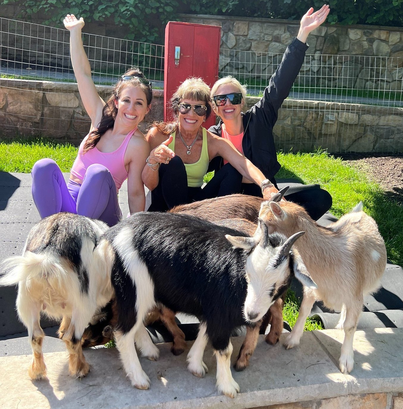 Group of women with goats.