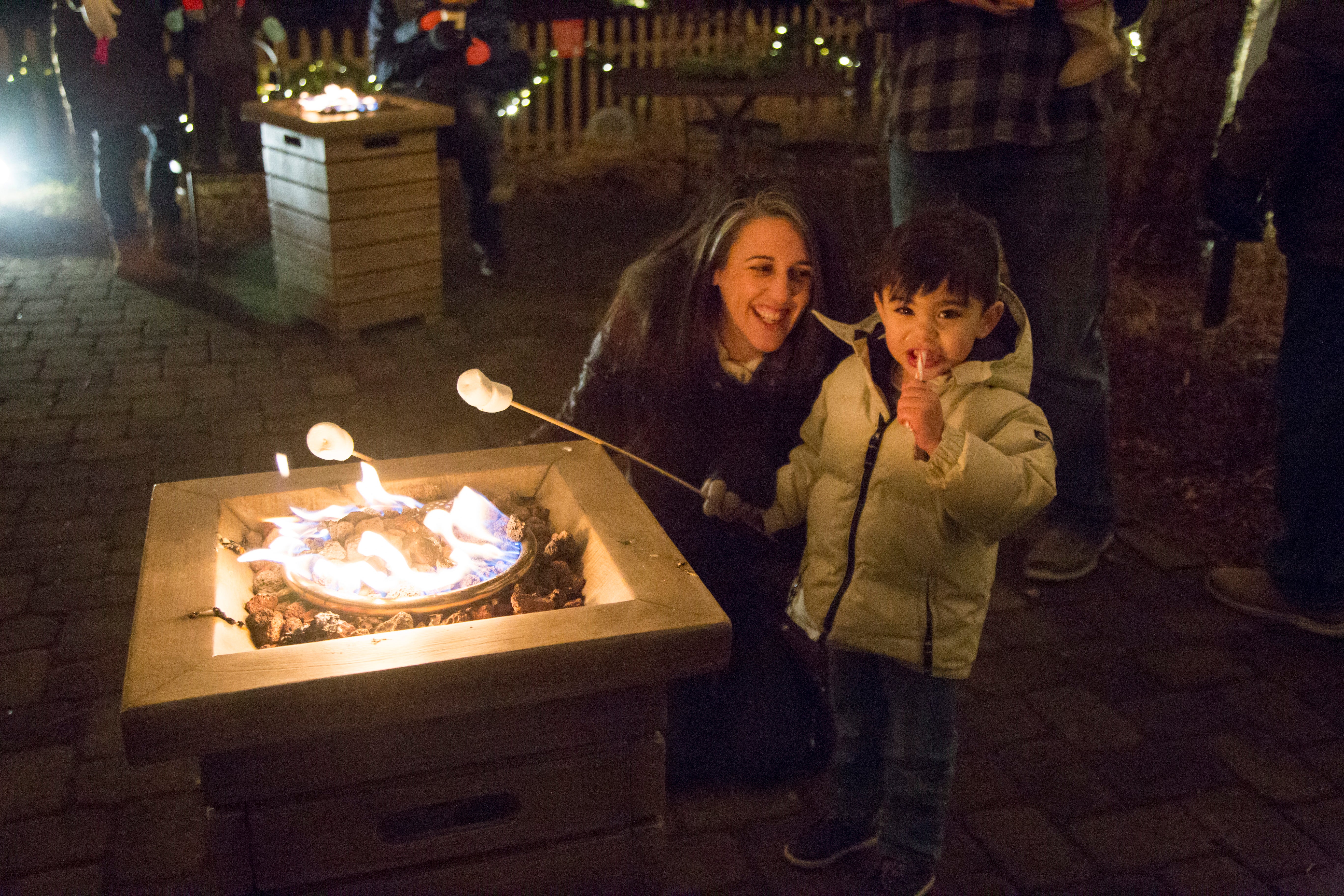 Woman and child roasting marshmallows over firepit.