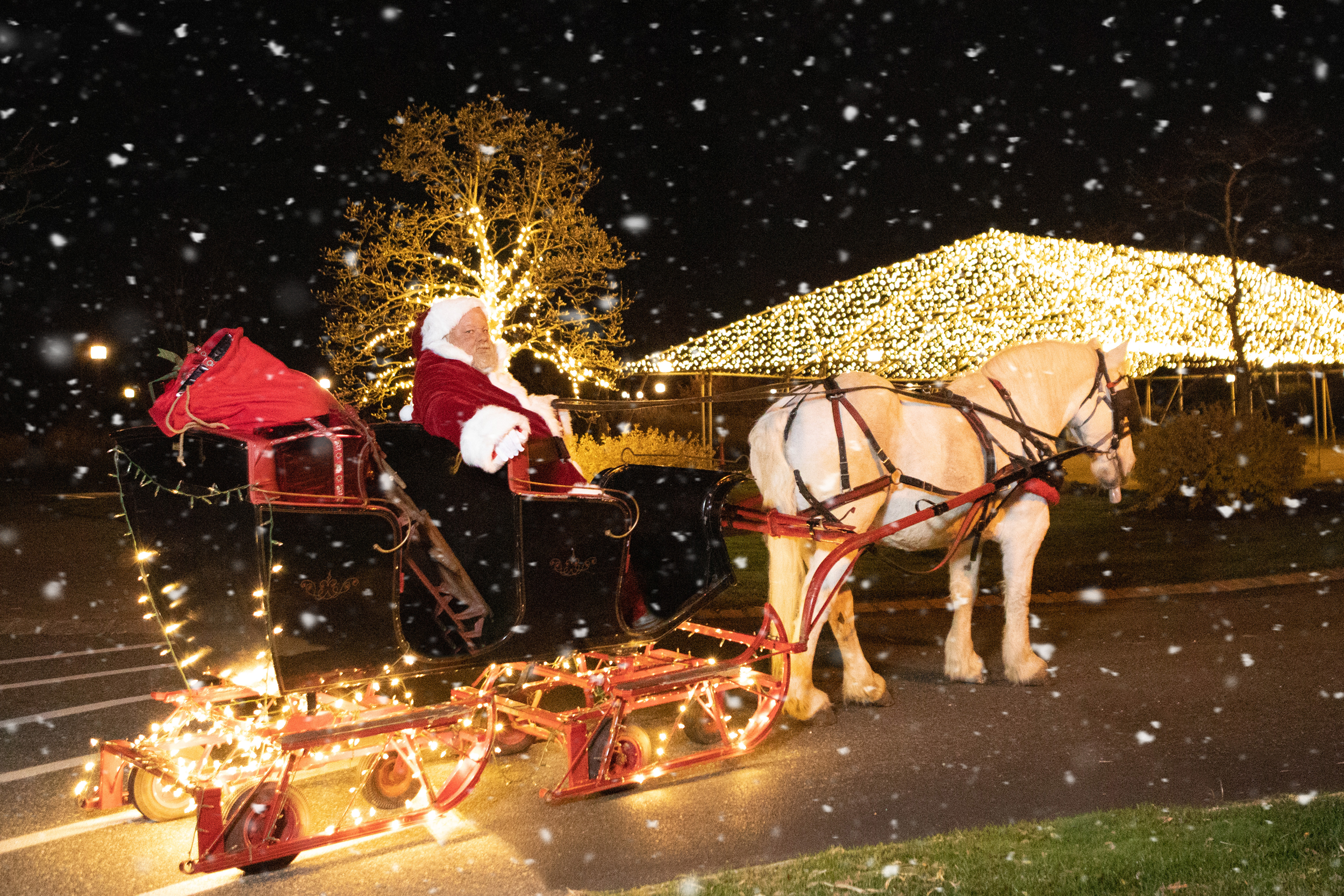 Santa in lite up sleigh being pulled by white horse