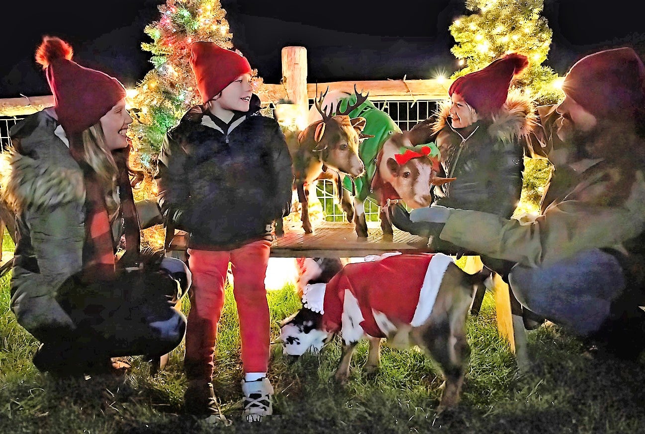 Family petting baby goats.