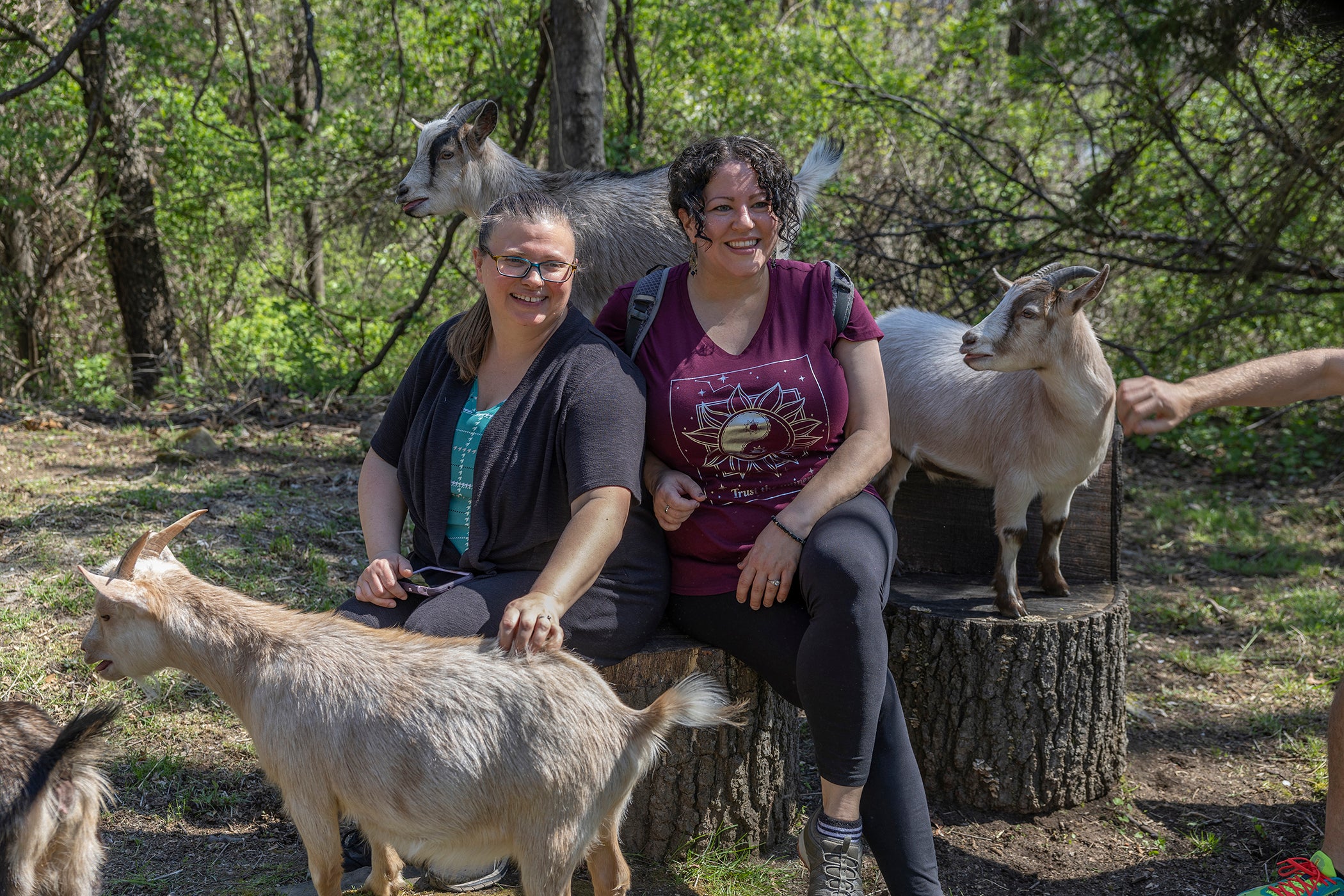 Girlfriends hiking with goats at Crystal Springs Resort