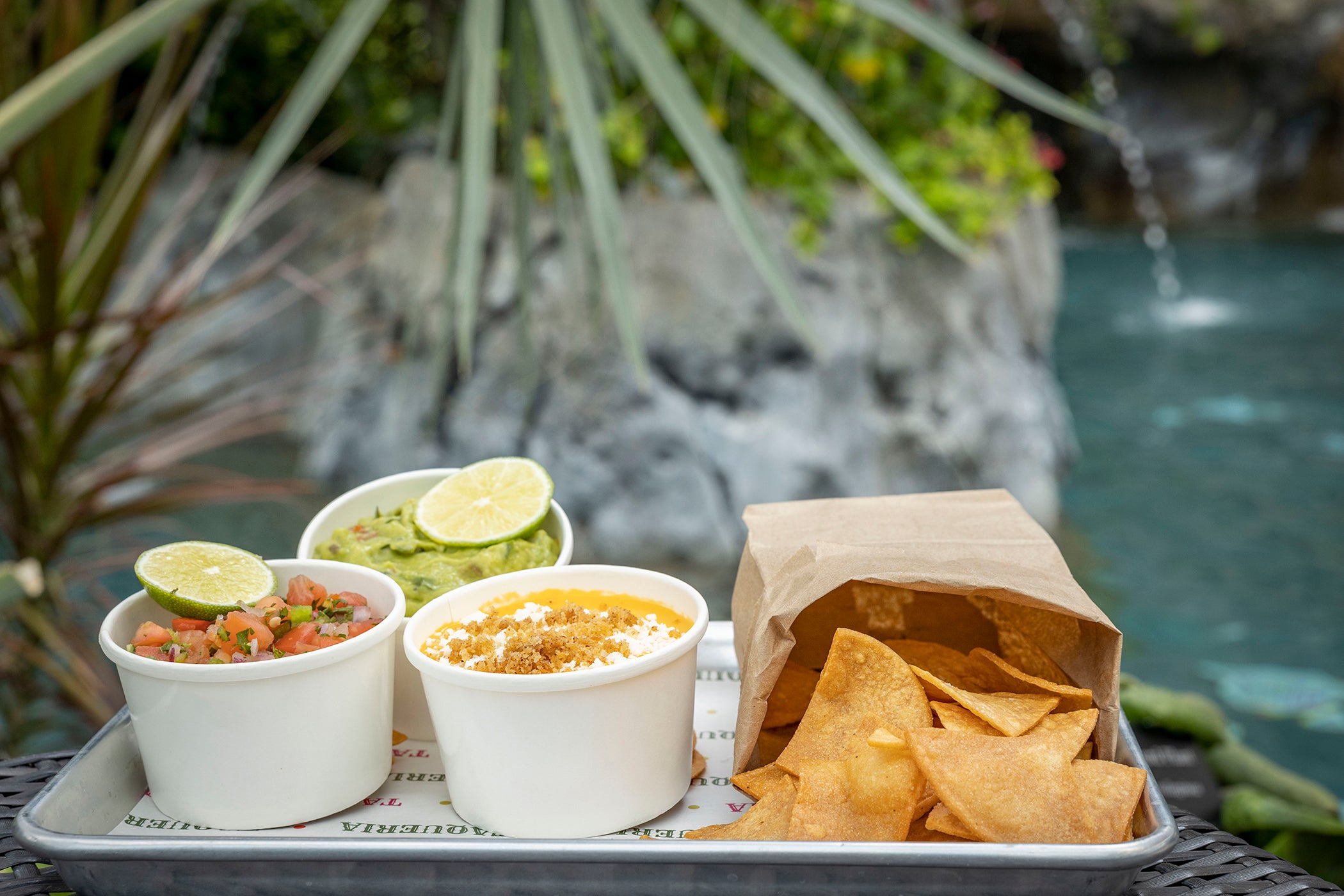 Chips, guac, salsa and cheese.