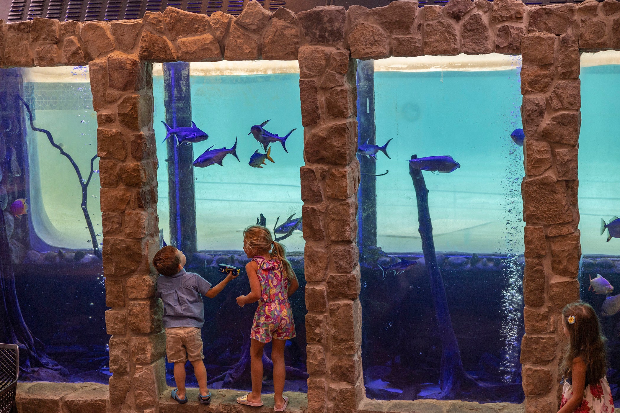 Children standin next to Minerals Hotel aquarium.