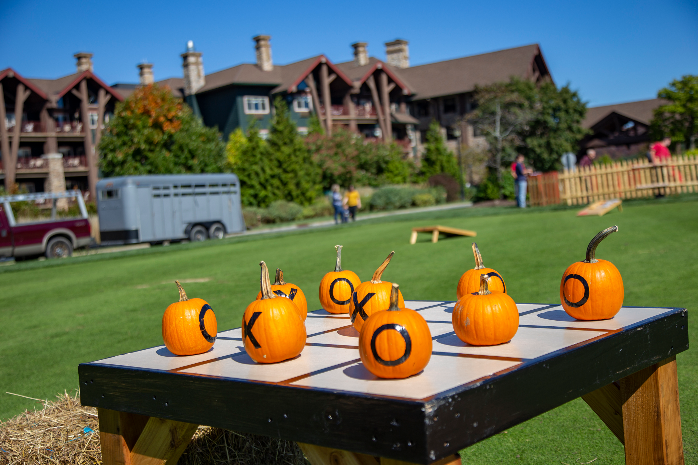 Tic tac toe board with pumpkins.