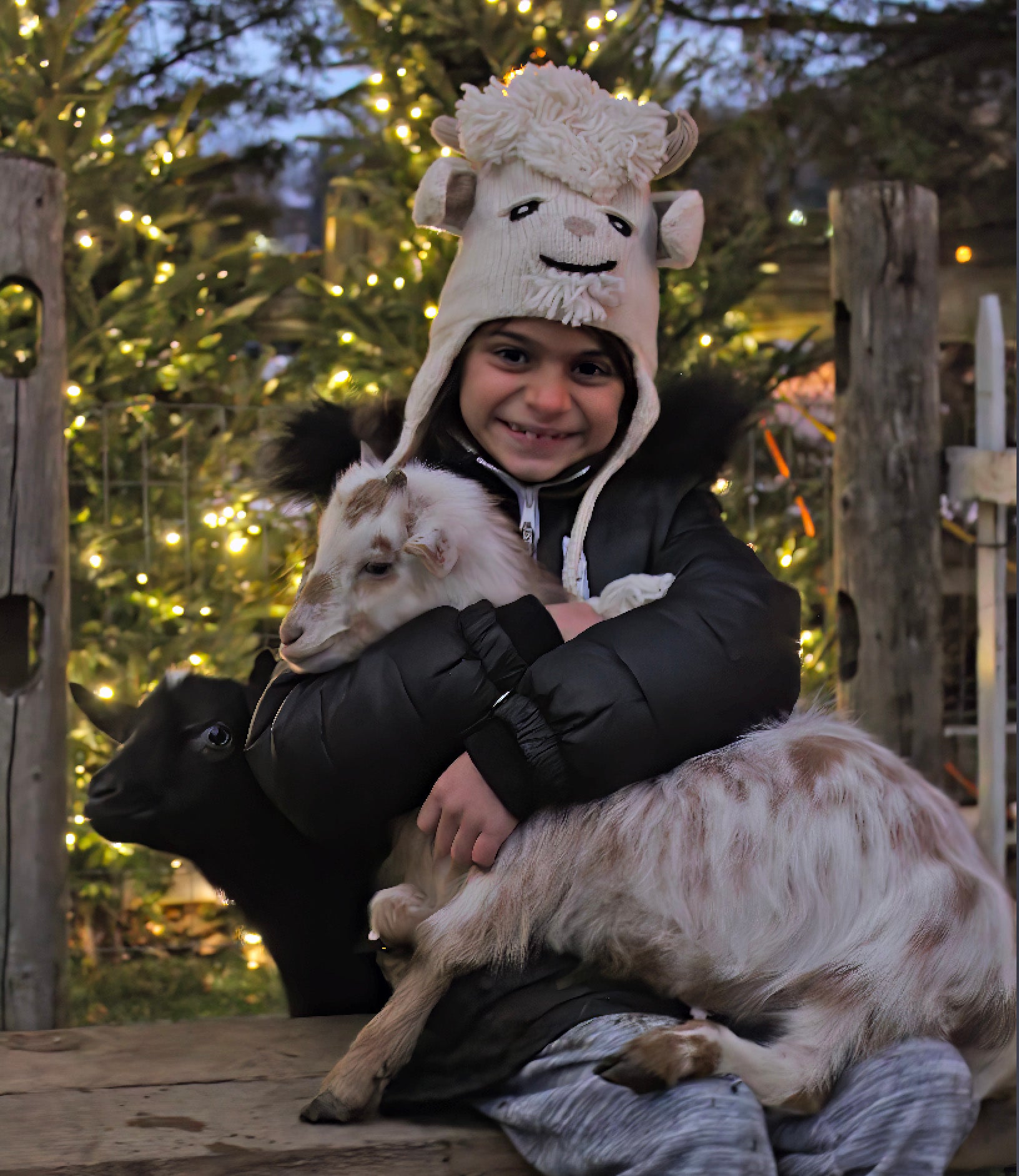 Young girl holding a baby goat.
