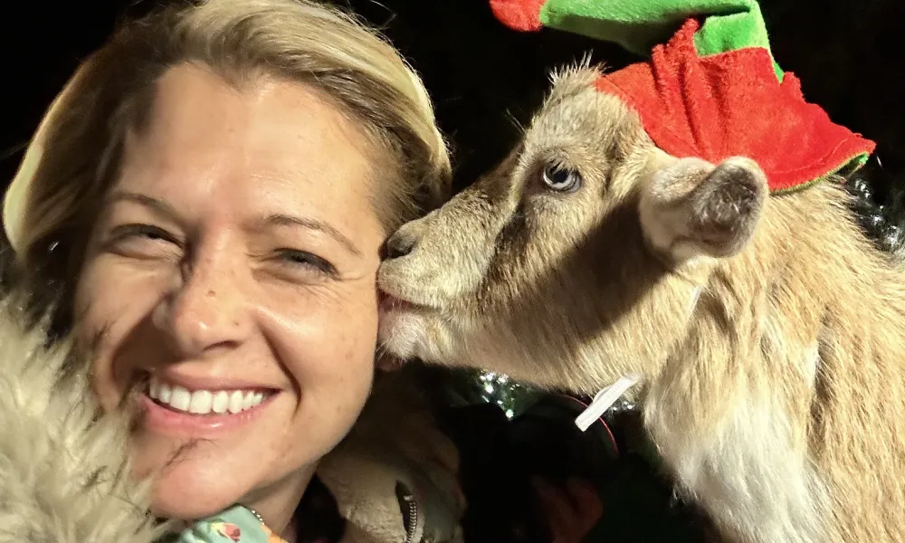 Woman posing with goat that is wearing a red and green Christmas hat.