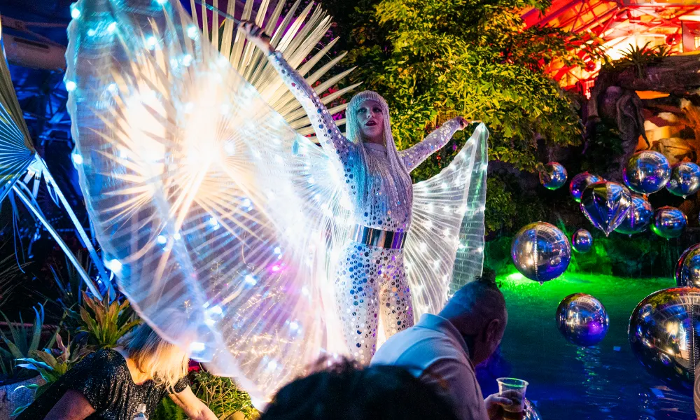 Woman in light up outfit during after party in Biosphere NYE. 