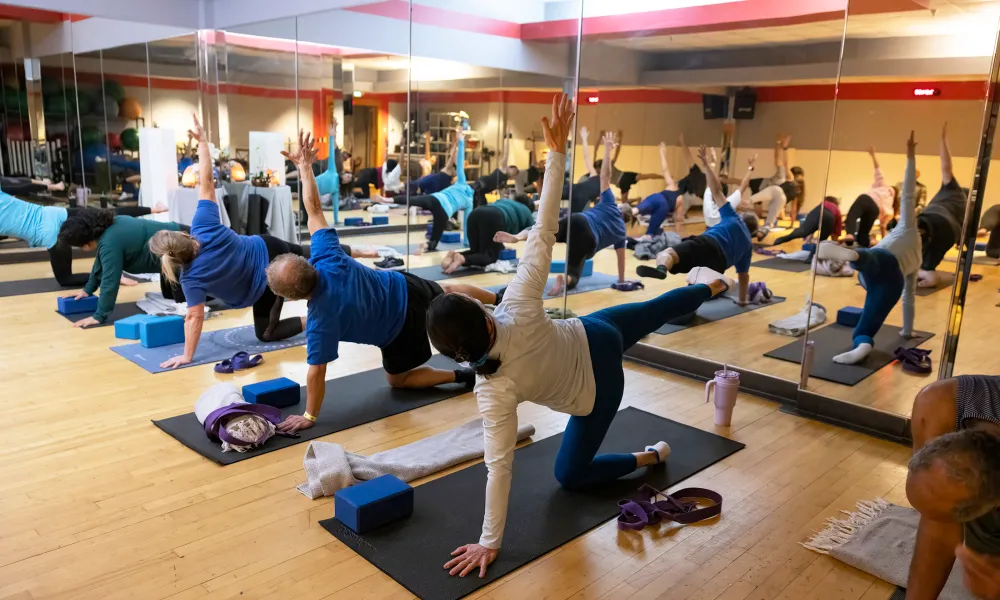 Group of people doing yoga.