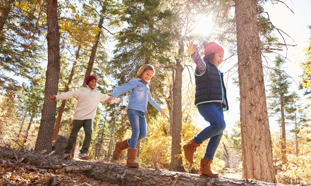 Children hiking in fall forest. 