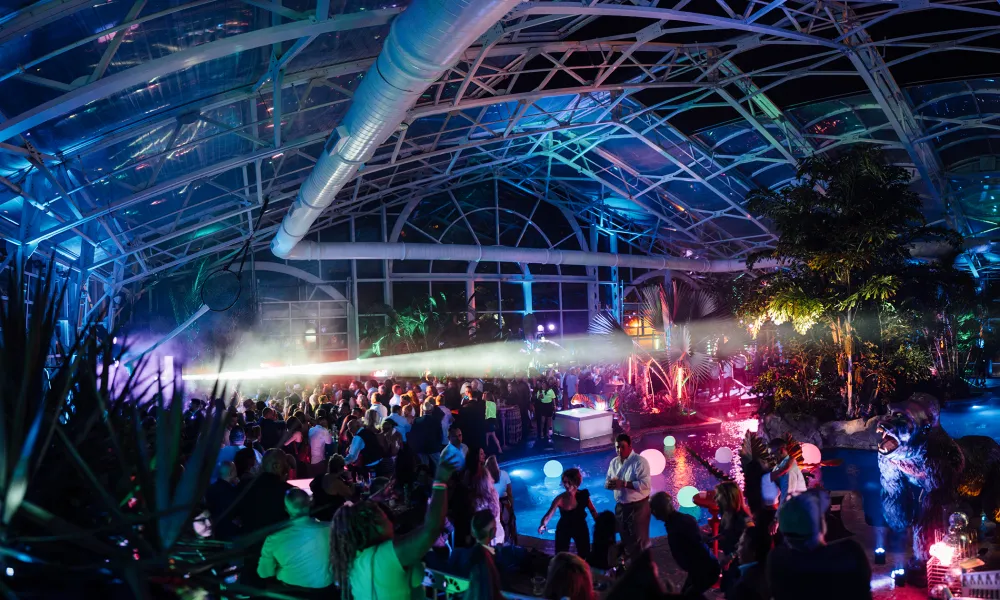 Biosphere After Party for Wine Festival