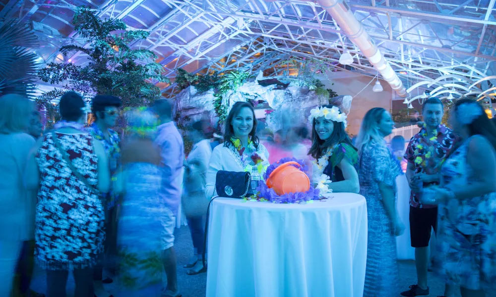 Biosphere Pool Complex