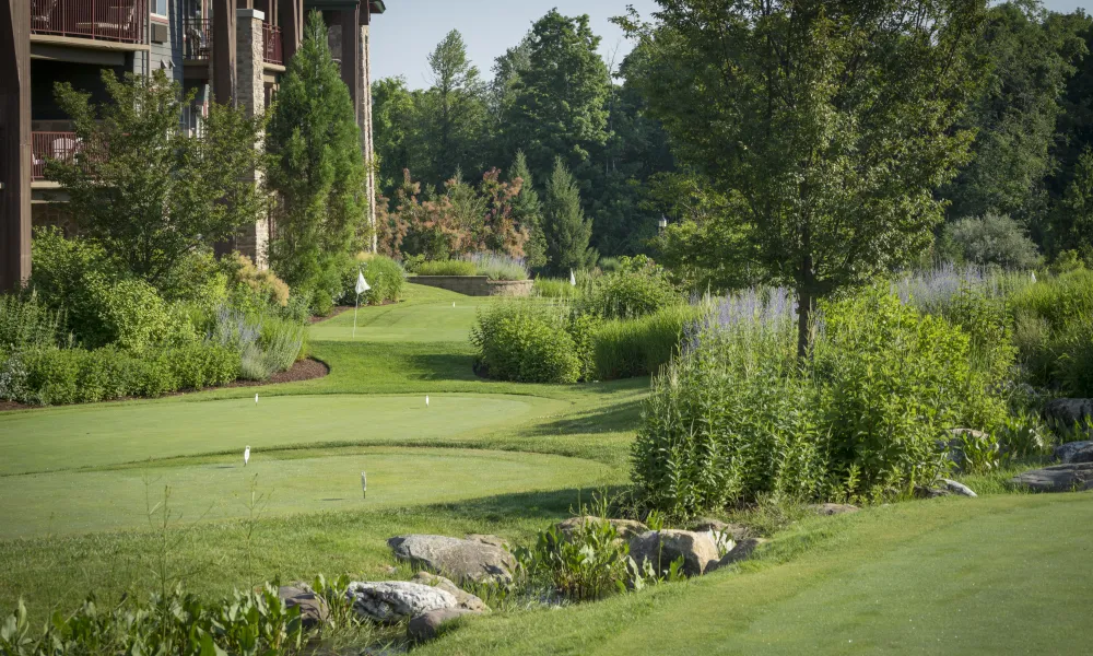 Natural grass putting green at Grand Cascades Lodge
