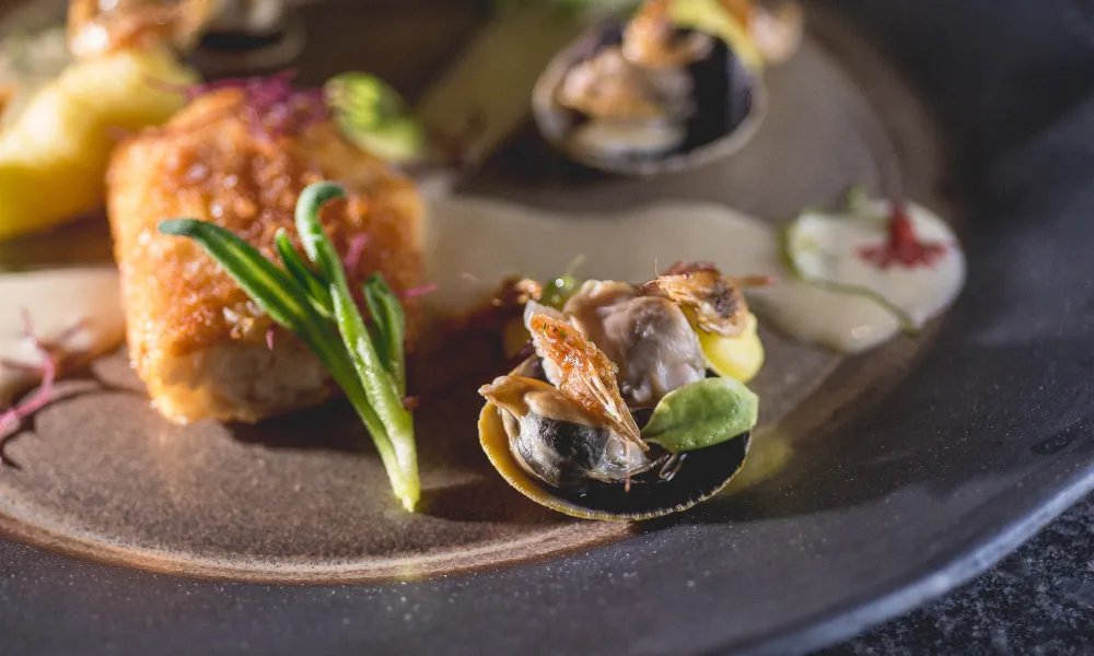 Chef Aishling's Beautiful Food Plating