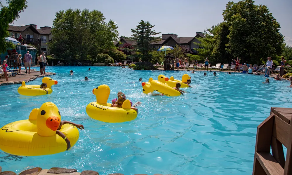 Duck Floats in Minerals Hotel pool.