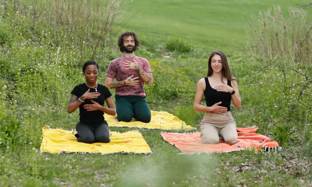 Group of three Forest Bathing