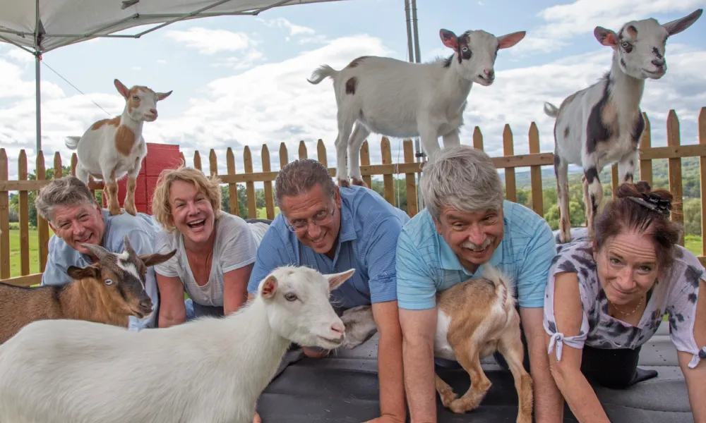 Group Goat Yoga