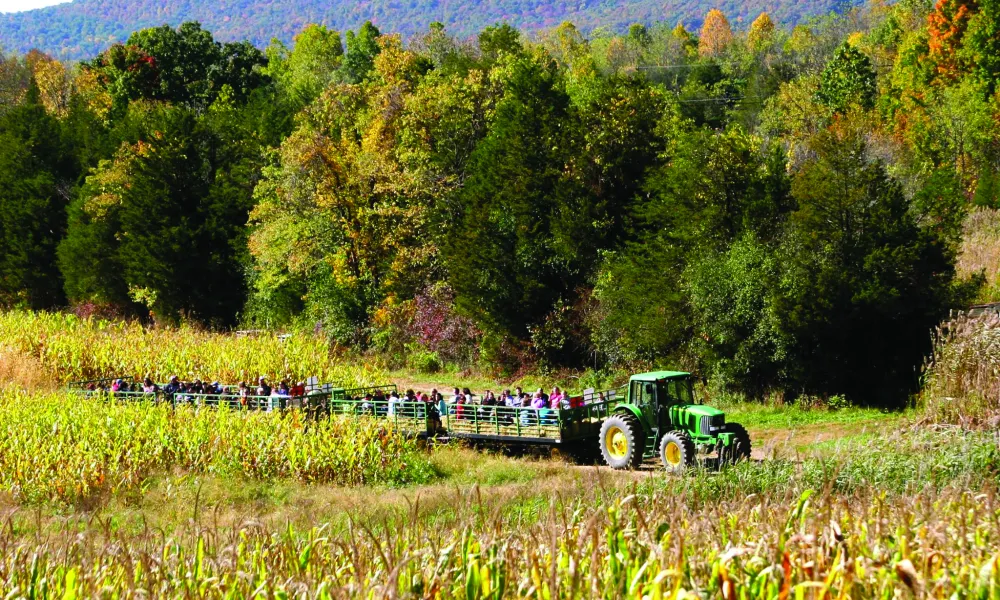 Tractor hay ride from a distance