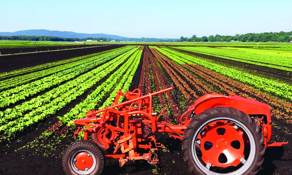 Red tractor in front of field.