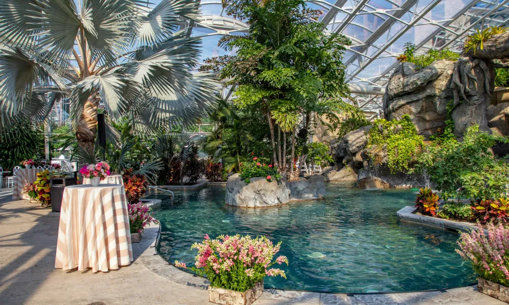 Tropical Biosphere Pool Complex