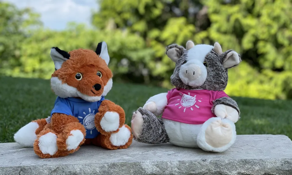 Two stuffed animals. 