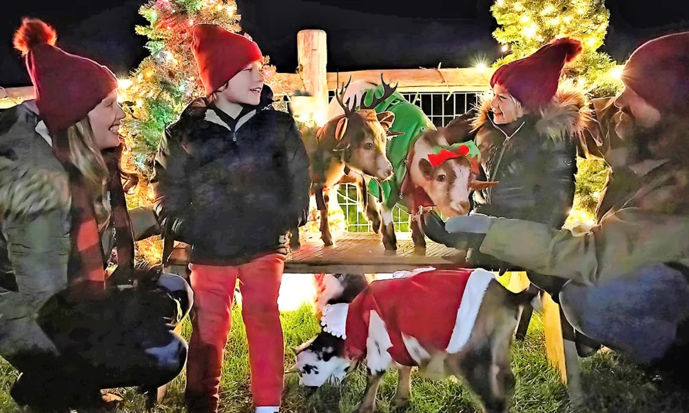 Family petting baby goats. 