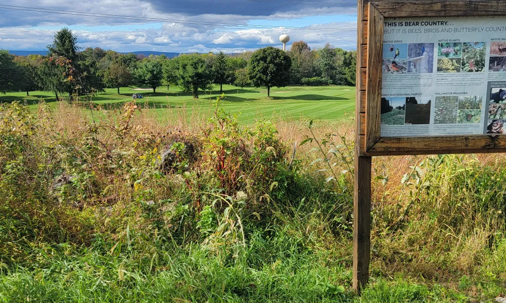 Black Bear pollinator corridor.