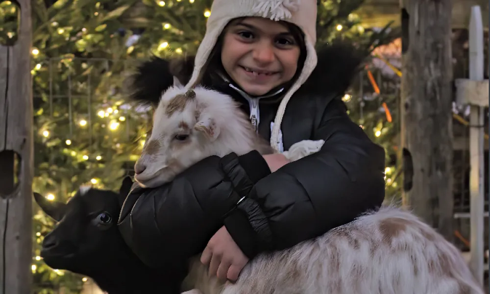 Young girl holding a baby goat.