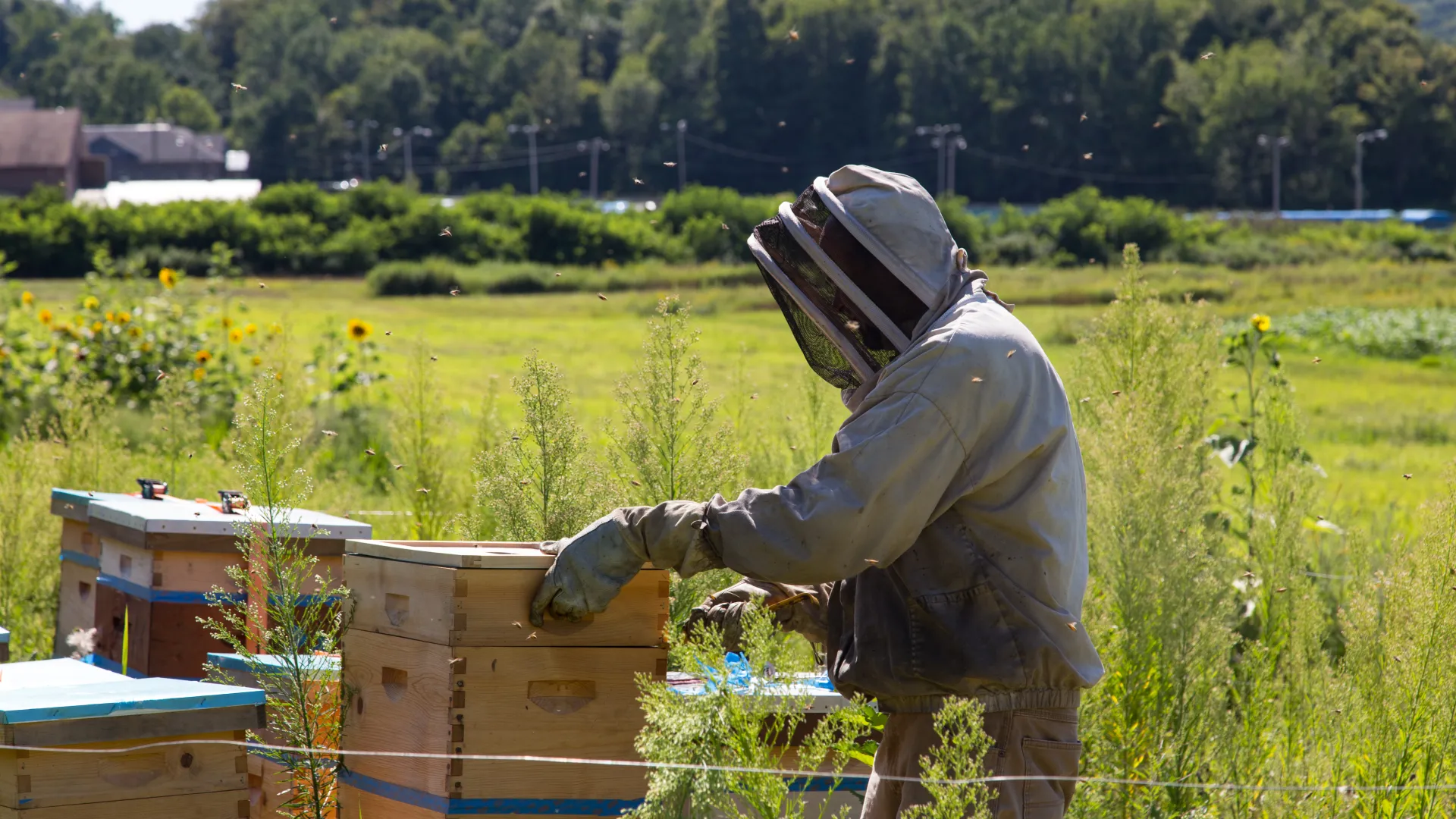 Beekeeper