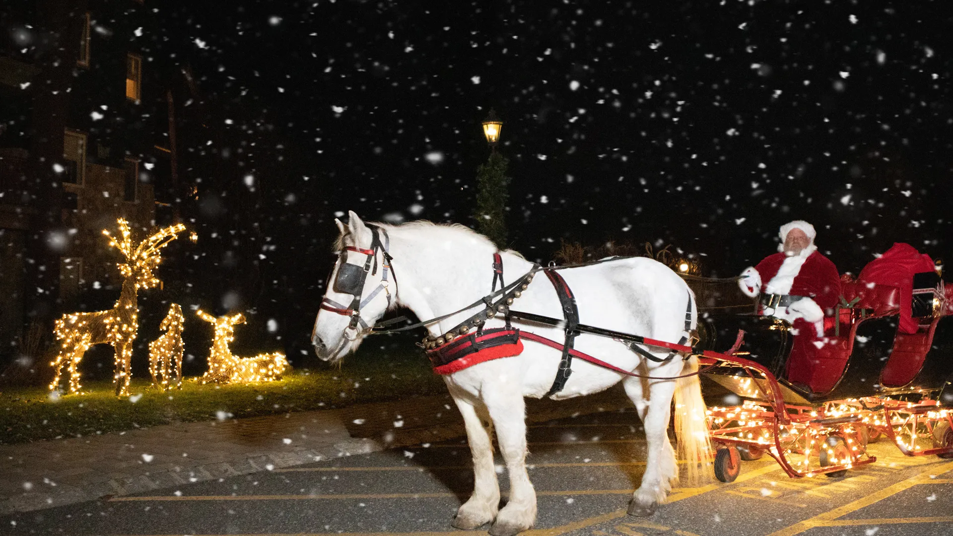 White horse pulling Santa in sleigh during snow shower