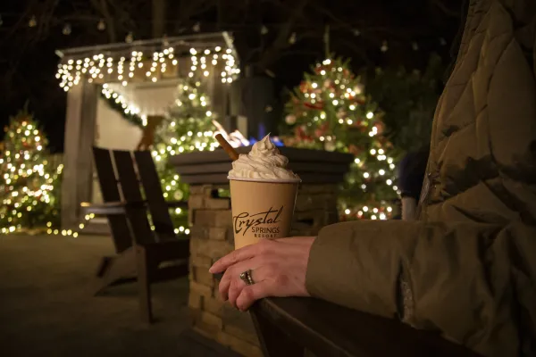 Hand holding hot chocolate with whip cream.