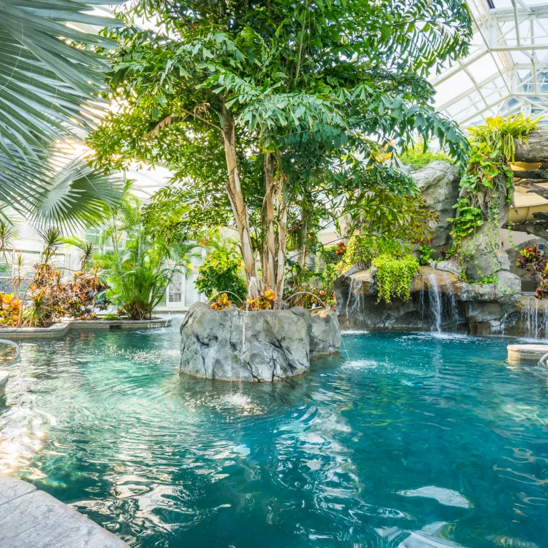 Biosphere pool complex