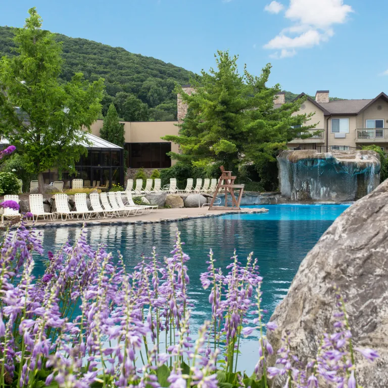View of Minerals Pool