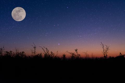 Night sky over a field with moon in the spring.
