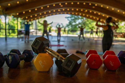 Dumbbells with people working out in background.