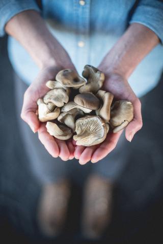 Foraged Mushrooms