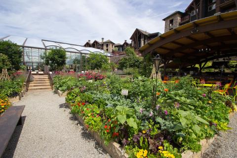 Outdoor Chef's Garden