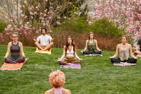 Group of outdoor meditation