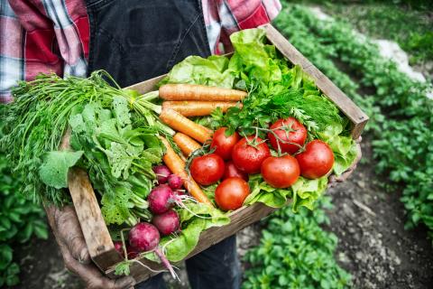 Nutritional Coaching teambuilding activity