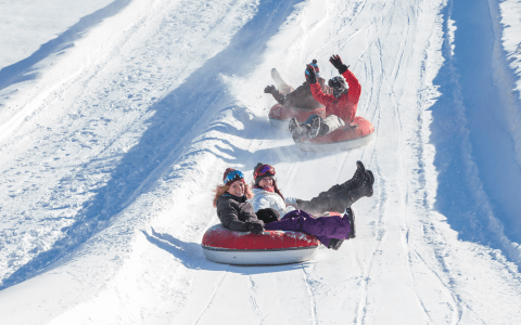 People snowtubing.