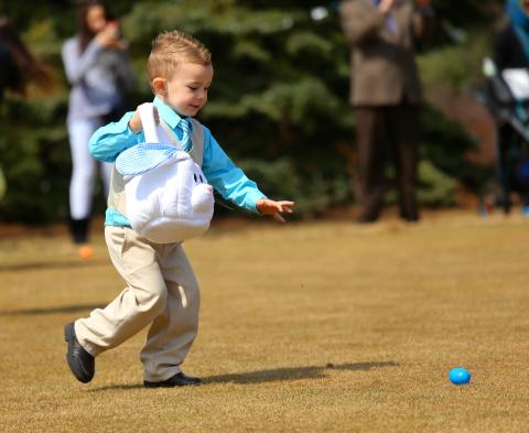 Young boy doing an easter egg hunt.
