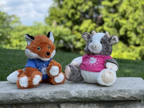 Two stuffed animals. 