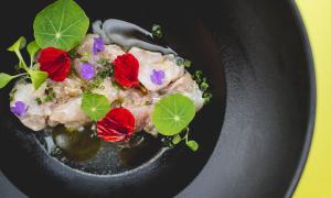 Chef's Garden Crudo Dish