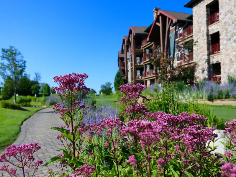 Grand Cascades Lodge exterior with purple flowers. 