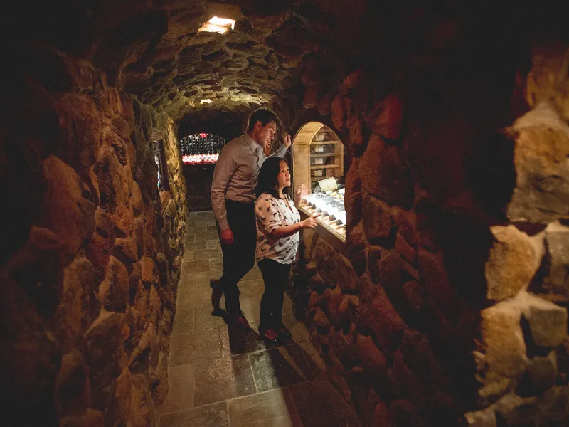 Wine cellar tour