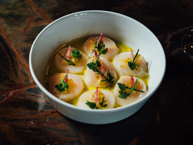 Scallop Crudo - watermelon radish » sea bean citrus » olio verde