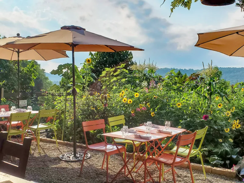 Beauty shot of Chef's Garden