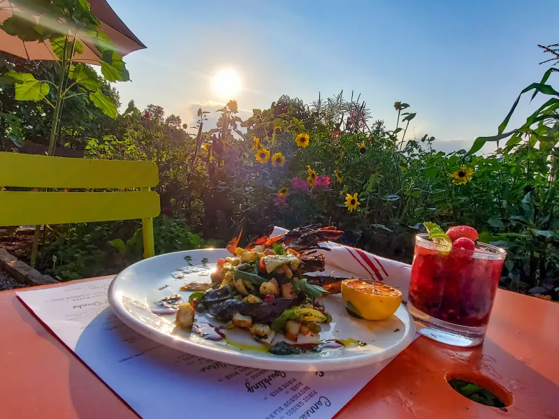 Colorful &amp; Organic Dish from Chef's Garden at Crystal Springs Resort NJ