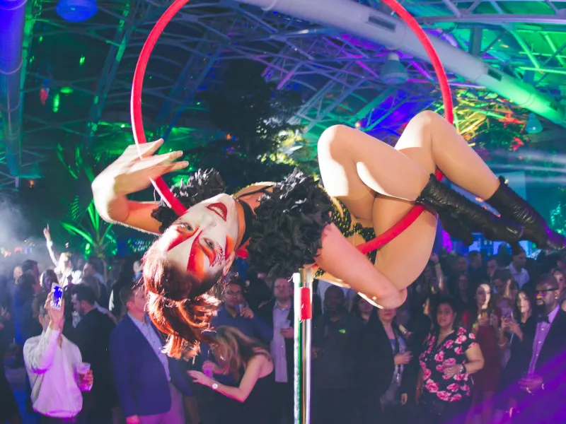 NJ Wine and Food Festival after party entertainment